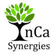 InCa Synergies